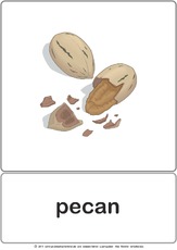 Bildkarte - pecan.pdf